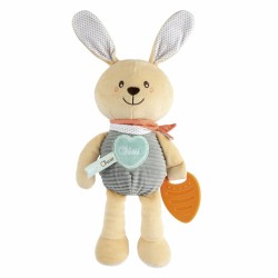 Chicco Coelhinho Primeiras...