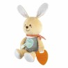 Chicco Coelhinho Primeiras Atividades | Brinquedo Sensorial e Educativo para Bebé