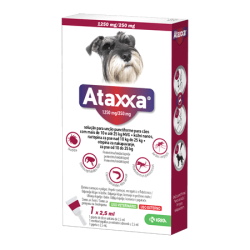 Ataxxa 1250/250mg 10-25kg 3...