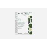 Plantagutt - 60 cápsulas