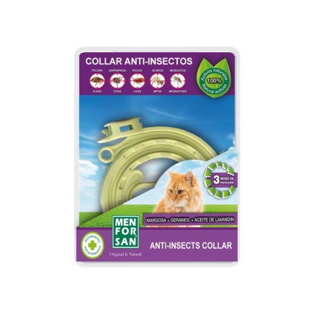 Men For San Insecticida Gato