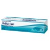 Vidisic Gel 2mg/ml Gel Oftálmico 10g